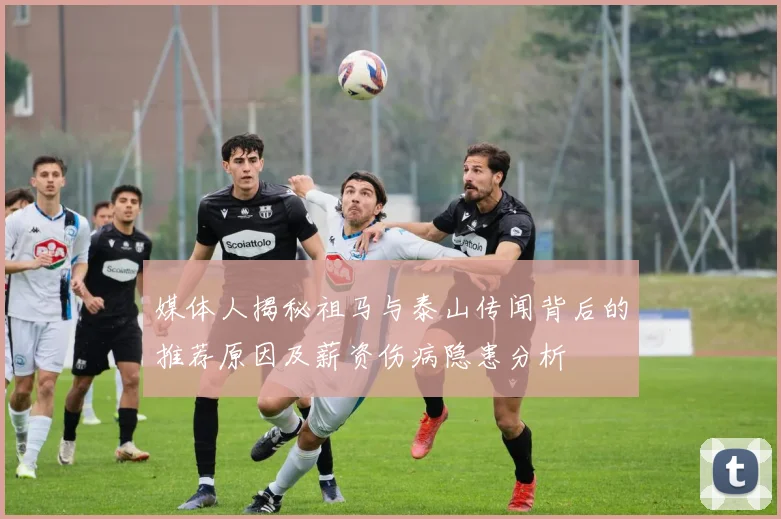 媒体人揭秘祖马与泰山传闻背后的推荐原因及薪资伤病隐患分析